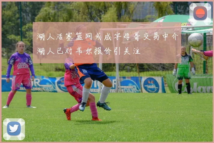 湖人活塞篮网或成字母哥交易中介湖人已对韦尔报价引关注