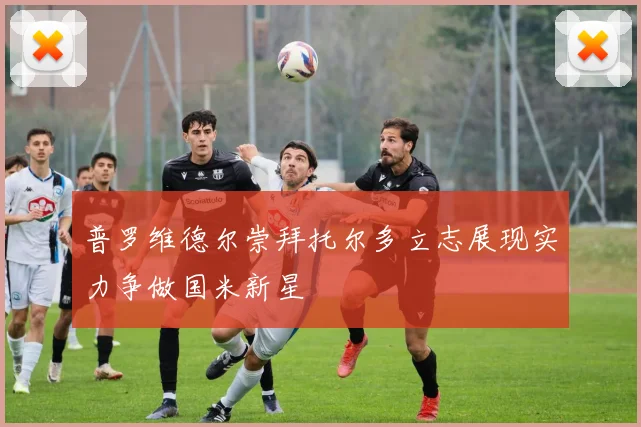 普罗维德尔崇拜托尔多立志展现实力争做国米新星